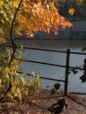Pologne automne pologne